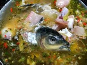 1 Best Green Sichuan Peppercorn Fish 14 Green Sichuan Peppercorn Fish Step-10
