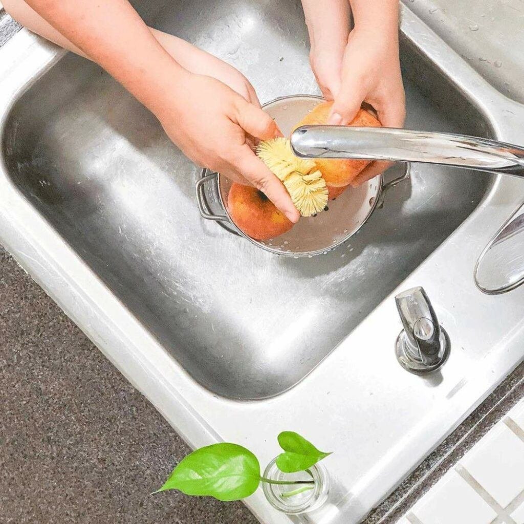 Vegetable Brush